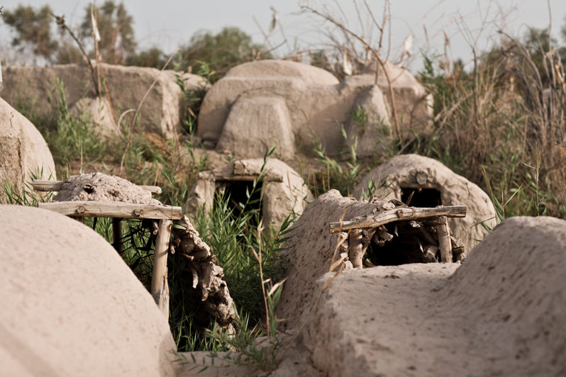 Shelters, 2011